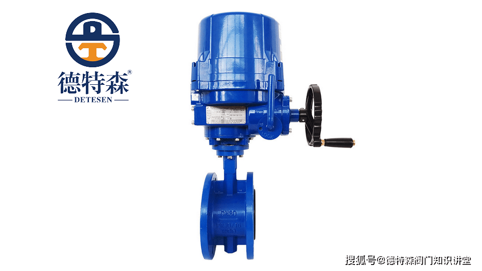 D941X-PN16-DN80-RF-WCB-AC220V-IP67-ExdIIBT4表达的含义解析