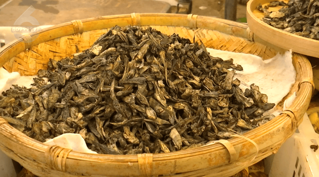 “干巴菌太好是因为打药施肥？”权威解读来了