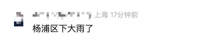 上海四预警齐发！大风+暴雨+雷电+高温，这几个地区特别注意