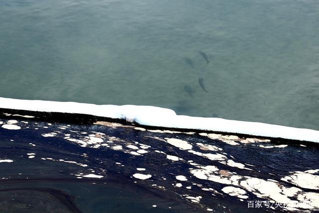 海洋原油泄漏(海洋原油泄漏原因)