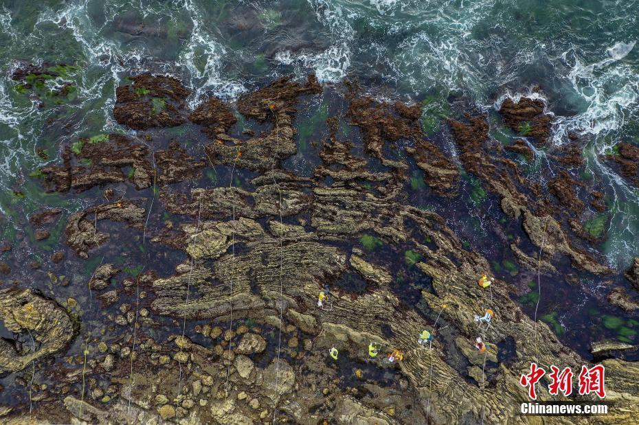 海洋原油泄漏(海洋原油泄漏英语阅读理解)