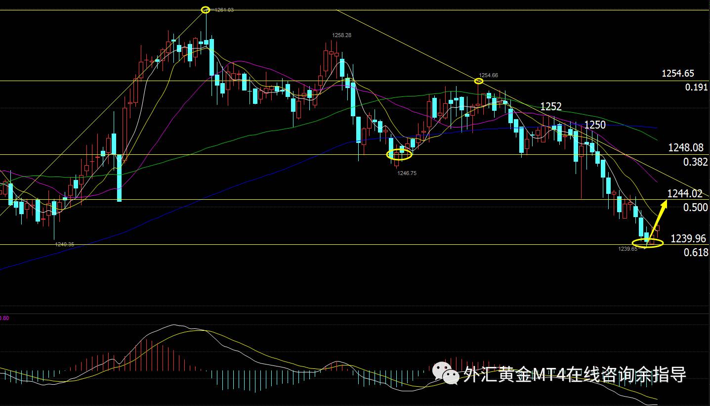 金银原油是什么意思(金银原油是什么意思网络用语)