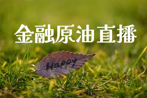 炒原油利润(炒原油1000赚4万)