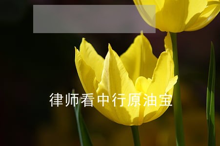 原油宝苹果(原油宝是什么)