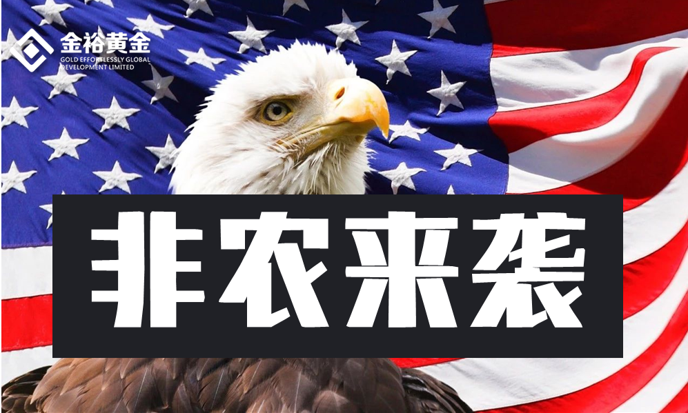 金裕原油(金裕国际是什么平台)
