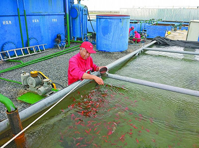 原油污水处理(原油污水处理化学药剂加什么)